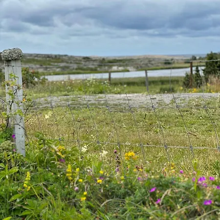 Nature Gem With Pool In Hvaler Rod (Ostfold)